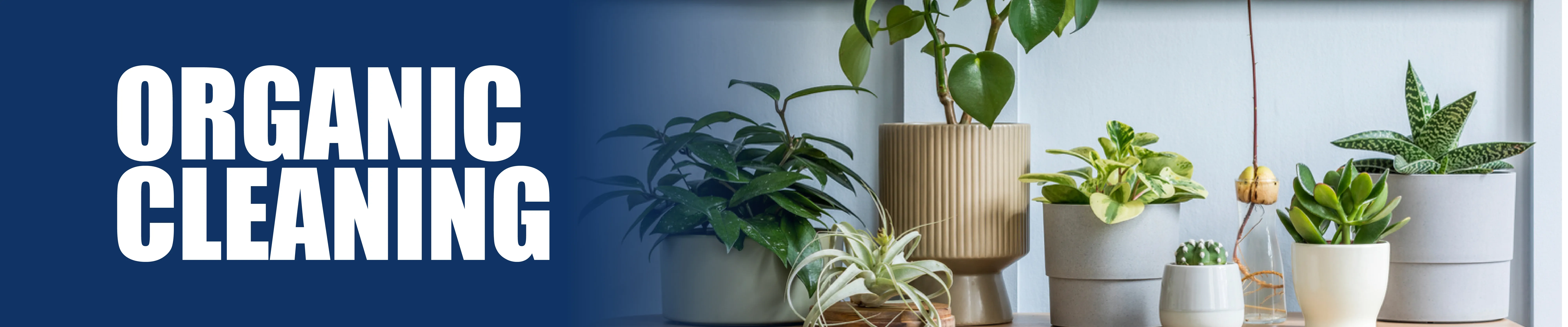 carpet cleaning in manhattan, carpet cleaning manhattan, carpet cleaners in manhattan, carpet cleaners in manhattan, commercial carpet cleaning, commercial carpet cleaning in manhattan, manhattan rug cleaners, rug cleaning services in manhattan, same day carpet cleaning, same day rug cleaning in manhattan