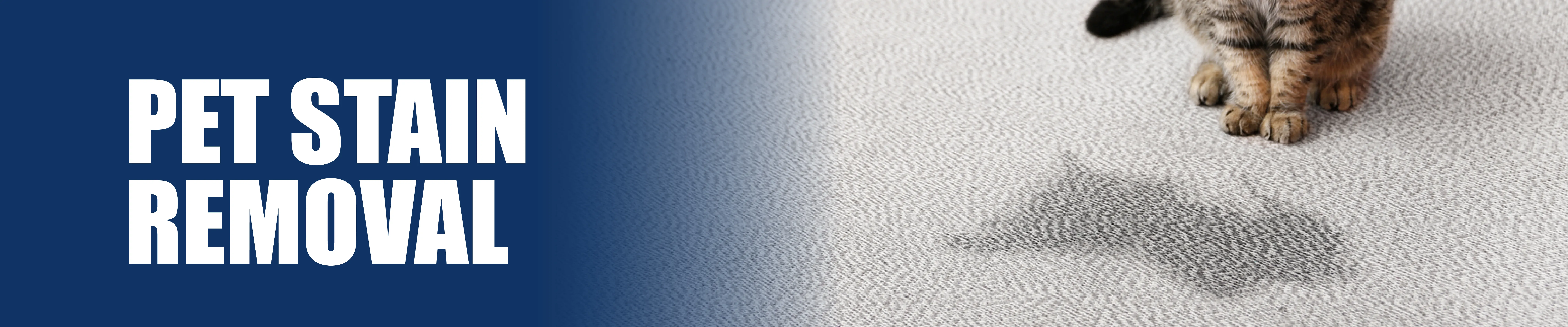 carpet cleaning in manhattan, carpet cleaning manhattan, carpet cleaners in manhattan, carpet cleaners in manhattan, commercial carpet cleaning, commercial carpet cleaning in manhattan, manhattan rug cleaners, rug cleaning services in manhattan, same day carpet cleaning, same day rug cleaning in manhattan